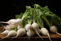 What Are The Essential Elements Of A Healthy Lifestyle